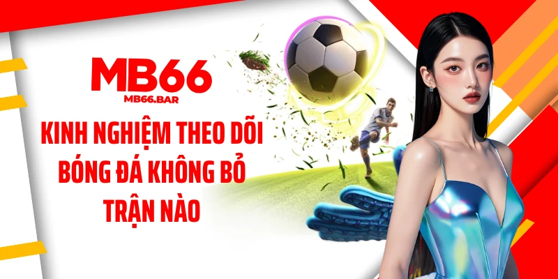 Kinh nghiệm theo dõi bóng đá không bỏ trận nào